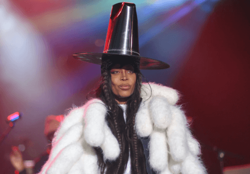 Erykah Badu Net Worth