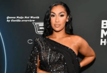 Queen Naija Net Worth
