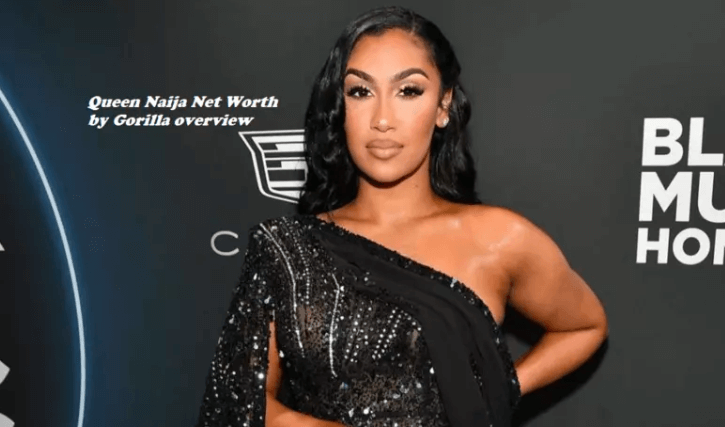 Queen Naija Net Worth