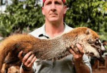 Sonny Side Net Worth