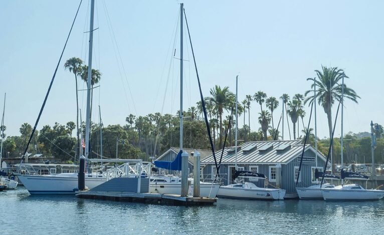 kristy sarah s financial status