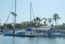 manon mathews wealth overview