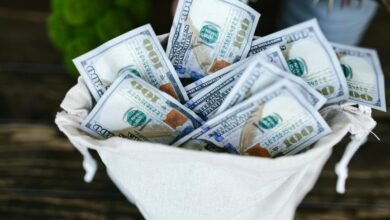 nicki nicole financial success