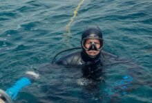 olivia tiedemann s wealth analysis