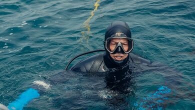 olivia tiedemann s wealth analysis