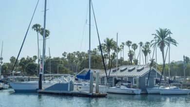 rutshelle guillaume s wealth overview