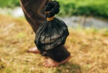 chrisnxtdoor s financial overview revealed