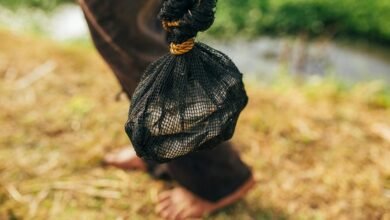 chrisnxtdoor s financial overview revealed