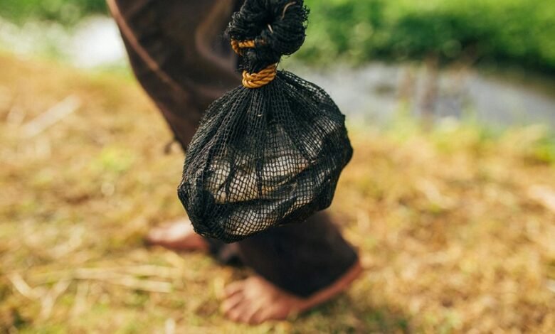 chrisnxtdoor s financial overview revealed