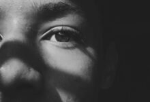 dan salt s twitter insights