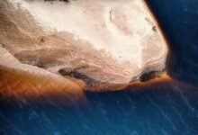 fashion website features overview