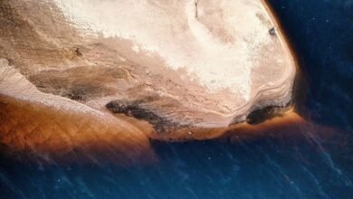 fashion website features overview