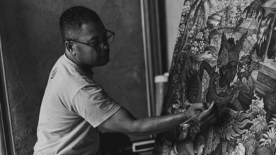 julie tsirkin biography details