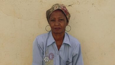 julie tsirkin biography details