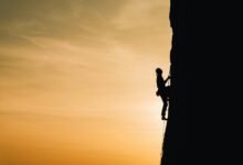 punchmade dev s height information