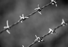 hotline protection division numbers