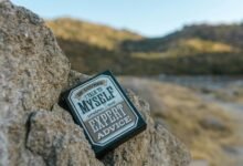 decorator advice expert insights